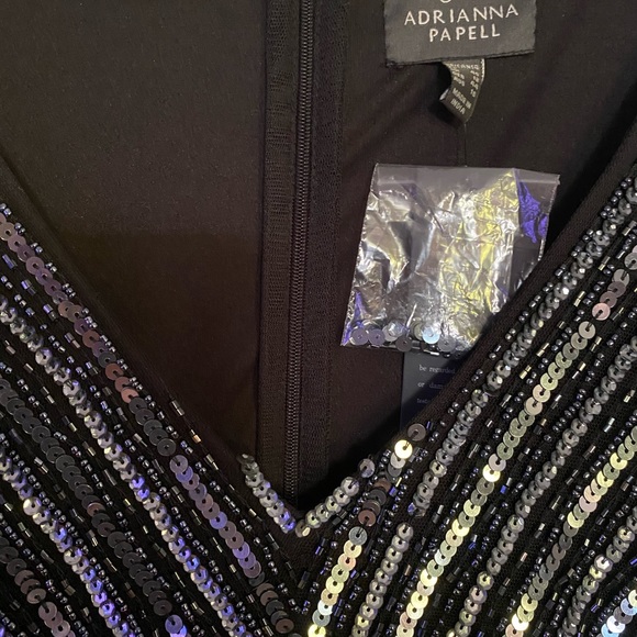 COPY - New Adrianna Papell Gown - Picture 6 of 6